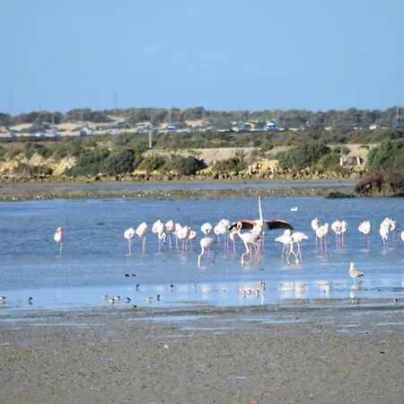 Tochos Chiclana de la Frontera