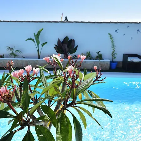 Apartment Tochos